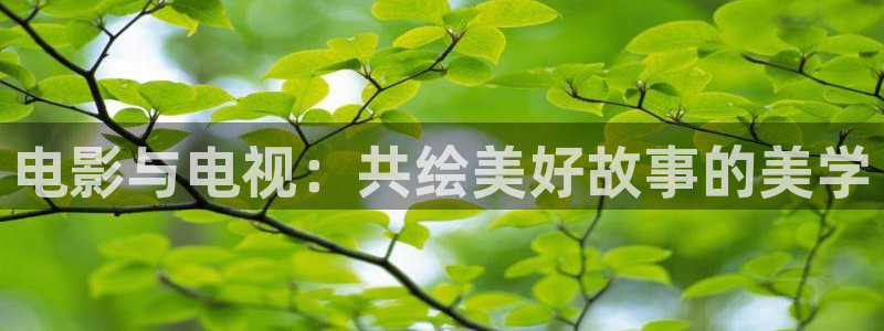 澳门私人影院在线观看