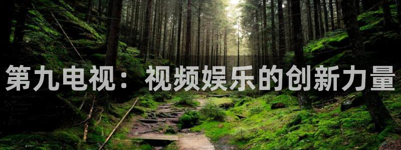大麦私人定制影院