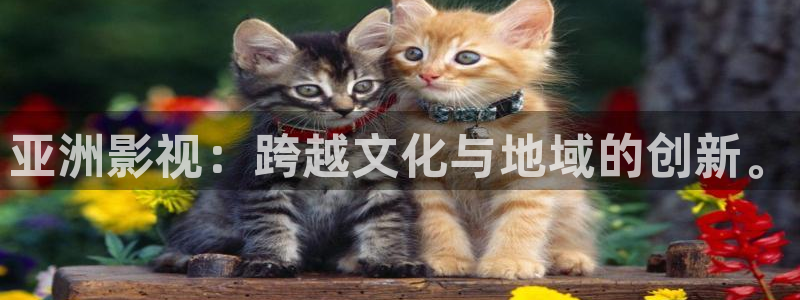 私人影院价目表