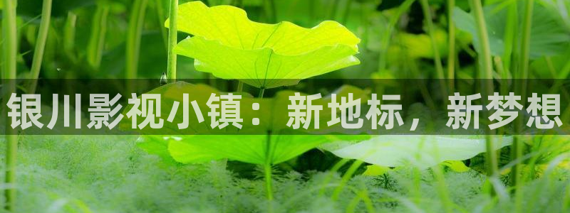 和女生去私人影院