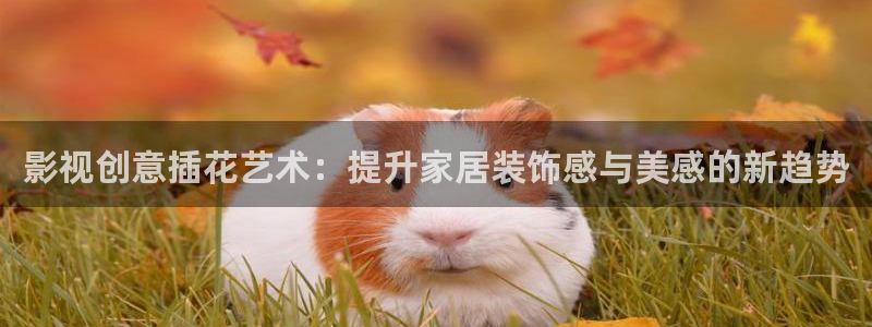 私人影院的