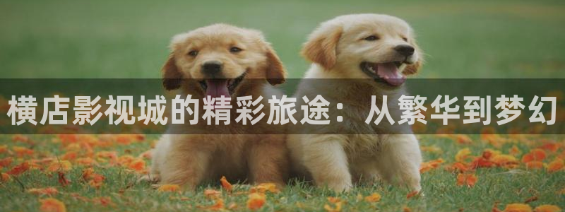 韩国电影《私人教练》