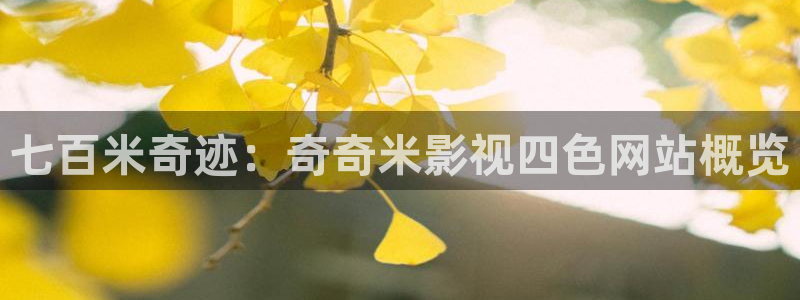 yy6080万利达私人影院在线观看