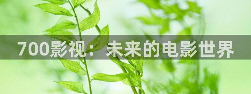 丫丫4480私人电影院在线