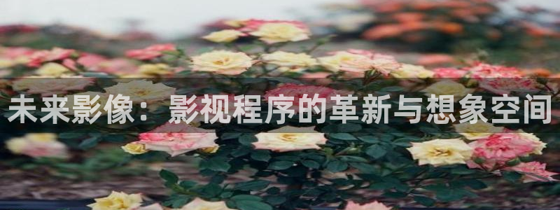 红桃私人影院入口